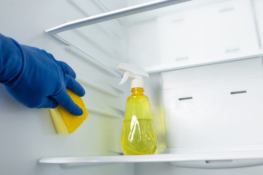 From Chaos to Clean: How Professional Move-Out Cleaning Services Simplify Relocation