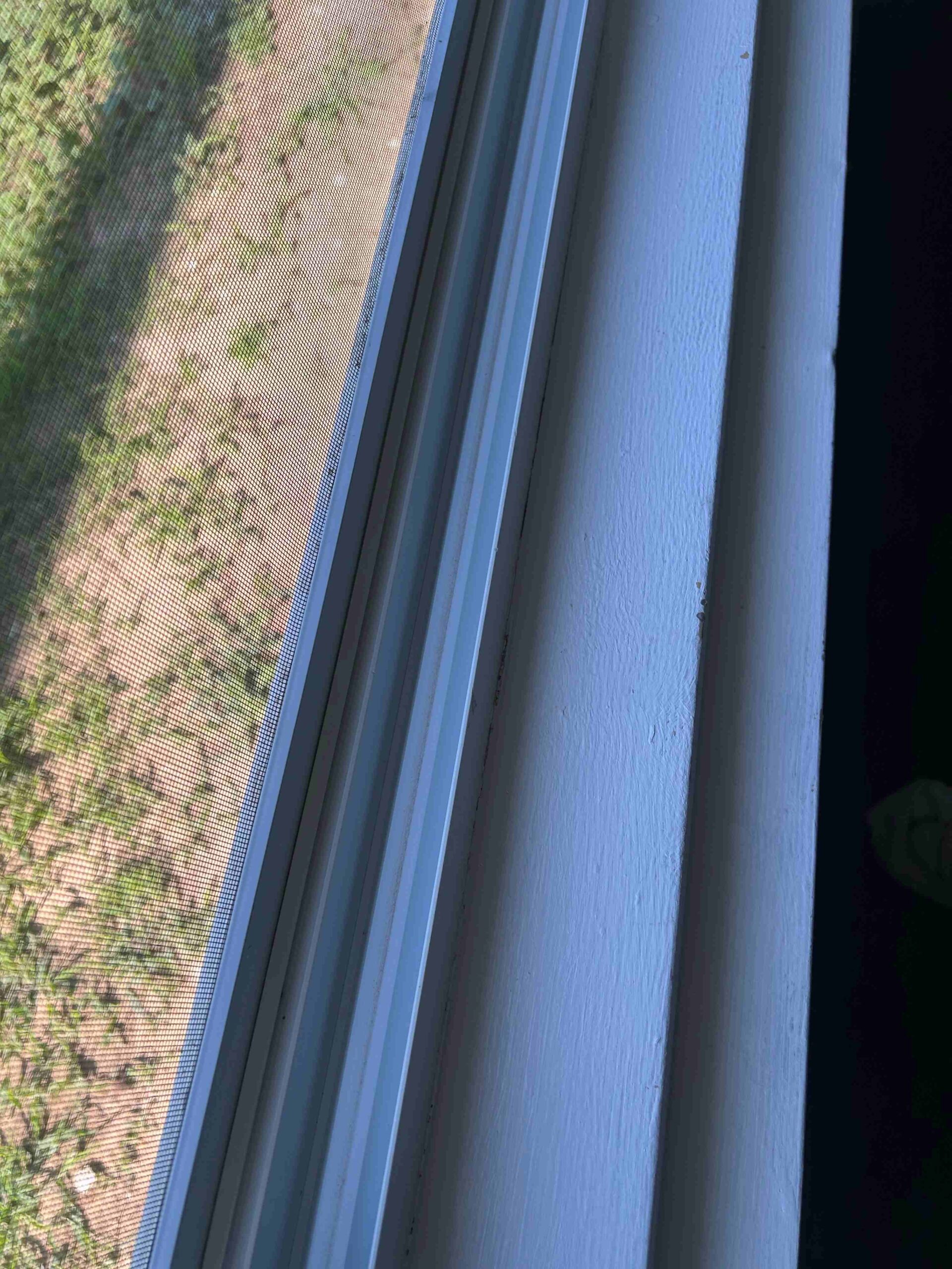 Sparkle Janitorial Services